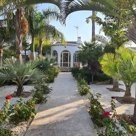 Tropical Paradise In * Torrevieja