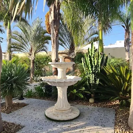 Tropical Paradise In Torrevieja