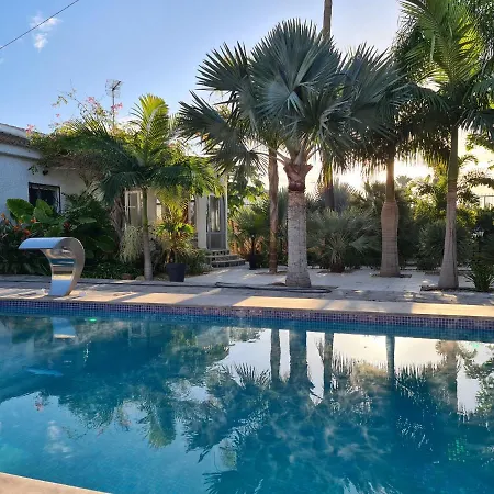 Tropical Paradise In * Torrevieja