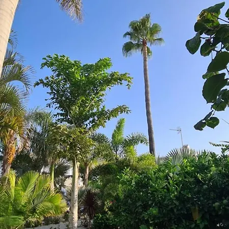 Villa Tropical Paradise In