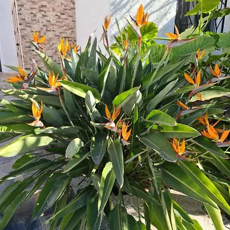 Tropical Paradise In Villa *