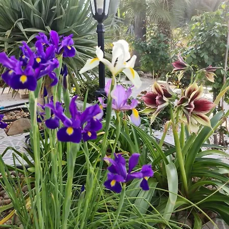 Tropical Paradise In