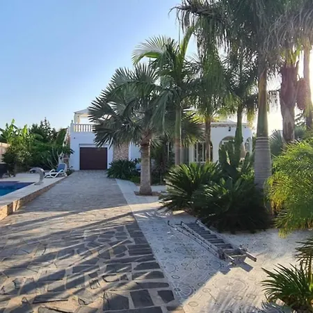 Tropical Paradise In *