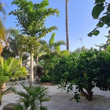 Tropical Paradise In Villa