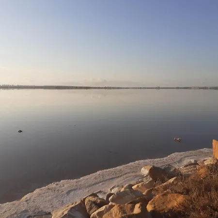 Tropical Paradise In Villa Torrevieja