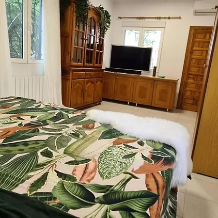 Tropical Paradise In * Торрев'єха